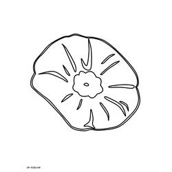 Dessin à colorier: Coquelicot (Nature et saisons) #162452 - Coloriages à Imprimer Gratuits