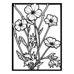 Dessin à colorier: Coquelicot (Nature et saisons) #162470 - Coloriages à Imprimer Gratuits