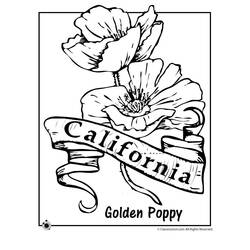 Dessin à colorier: Coquelicot (Nature et saisons) #162486 - Coloriages à Imprimer Gratuits