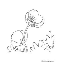 Dessin à colorier: Coquelicot (Nature et saisons) #162490 - Coloriages à Imprimer Gratuits