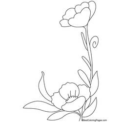 Dessin à colorier: Coquelicot (Nature et saisons) #162497 - Coloriages à Imprimer Gratuits