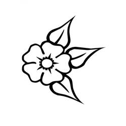 Dessin à colorier: Coquelicot (Nature et saisons) #162583 - Coloriages à Imprimer Gratuits