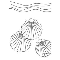 Dessin à colorier: Coquillage (Nature et saisons) #163146 - Coloriages à Imprimer Gratuits