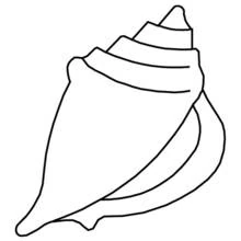 Dessin à colorier: Coquillage (Nature et saisons) #163151 - Coloriages à Imprimer Gratuits