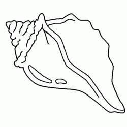 Dessin à colorier: Coquillage (Nature et saisons) #163159 - Coloriages à Imprimer Gratuits