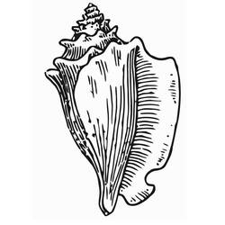Dessin à colorier: Coquillage (Nature et saisons) #163166 - Coloriages à Imprimer Gratuits