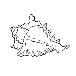 Dessin à colorier: Coquillage (Nature et saisons) #163167 - Coloriages à Imprimer Gratuits