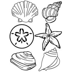 Dessin à colorier: Coquillage (Nature et saisons) #163170 - Coloriages à Imprimer Gratuits