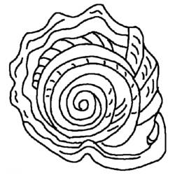 Dessin à colorier: Coquillage (Nature et saisons) #163173 - Coloriages à Imprimer Gratuits
