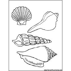 Dessin à colorier: Coquillage (Nature et saisons) #163174 - Coloriages à Imprimer Gratuits