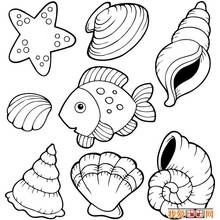 Dessin à colorier: Coquillage (Nature et saisons) #163190 - Coloriages à Imprimer Gratuits