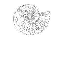 Dessin à colorier: Coquillage (Nature et saisons) #163204 - Coloriages à Imprimer Gratuits