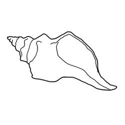 Dessin à colorier: Coquillage (Nature et saisons) #163211 - Coloriages à Imprimer Gratuits