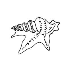 Dessin à colorier: Coquillage (Nature et saisons) #163216 - Coloriages à Imprimer Gratuits