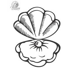Dessin à colorier: Coquillage (Nature et saisons) #163223 - Coloriages à Imprimer Gratuits