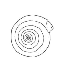 Dessin à colorier: Coquillage (Nature et saisons) #163249 - Coloriages à Imprimer Gratuits