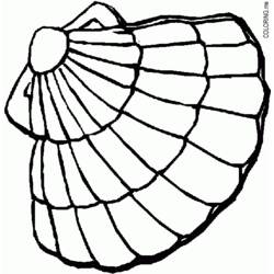 Dessin à colorier: Coquillage (Nature et saisons) #163262 - Coloriages à Imprimer Gratuits