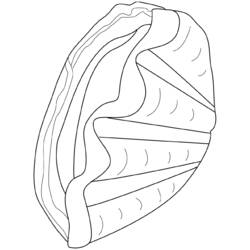 Dessin à colorier: Coquillage (Nature et saisons) #163266 - Coloriages à Imprimer Gratuits