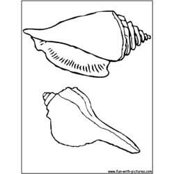 Dessin à colorier: Coquillage (Nature et saisons) #163273 - Coloriages à Imprimer Gratuits