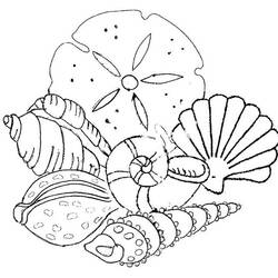 Dessin à colorier: Coquillage (Nature et saisons) #163363 - Coloriages à Imprimer Gratuits