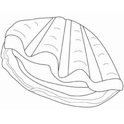 Dessin à colorier: Coquillage (Nature et saisons) #163386 - Coloriages à Imprimer Gratuits