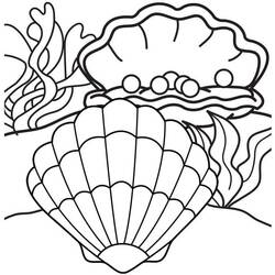 Dessin à colorier: Coquillage (Nature et saisons) #185426 - Coloriages à Imprimer Gratuits