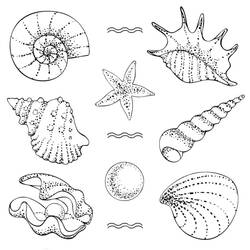 Dessin à colorier: Coquillage (Nature et saisons) #185428 - Coloriages à Imprimer Gratuits