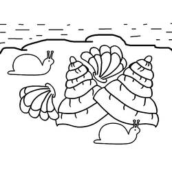 Dessin à colorier: Coquillage (Nature et saisons) #185471 - Coloriages à Imprimer Gratuits