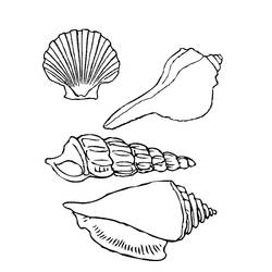Dessin à colorier: Coquillage (Nature et saisons) #185474 - Coloriages à Imprimer Gratuits