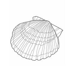 Dessin à colorier: Coquillage (Nature et saisons) #185476 - Coloriages à Imprimer Gratuits