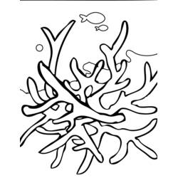 Dessin à colorier: Corail (Nature et saisons) #162890 - Coloriages à Imprimer Gratuits