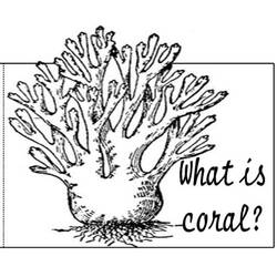 Dessin à colorier: Corail (Nature et saisons) #162907 - Coloriages à Imprimer Gratuits