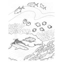Dessin à colorier: Corail (Nature et saisons) #162977 - Coloriages à Imprimer Gratuits