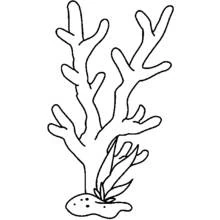 Dessins à colorier: Corail - Coloriages à Imprimer Gratuits