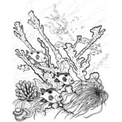 Dessin à colorier: Corail (Nature et saisons) #163012 - Coloriages à Imprimer Gratuits