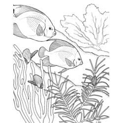 Dessin à colorier: Corail (Nature et saisons) #163040 - Coloriages à Imprimer Gratuits