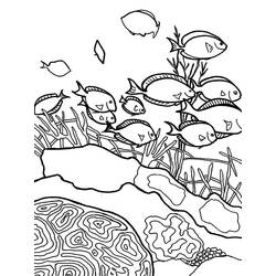 Dessin à colorier: Corail (Nature et saisons) #163085 - Coloriages à Imprimer Gratuits