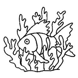 Dessin à colorier: Corail (Nature et saisons) #163133 - Coloriages à Imprimer Gratuits
