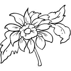 Dessin à colorier: Dahlia (Nature et saisons) #176513 - Coloriages à Imprimer Gratuits