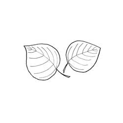 Dessin à colorier: Feuille (Nature et saisons) #191828 - Coloriages à Imprimer Gratuits
