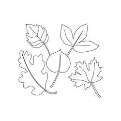Dessin à colorier: Feuille (Nature et saisons) #191829 - Coloriages à Imprimer Gratuits