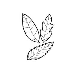 Dessin à colorier: Feuille (Nature et saisons) #191830 - Coloriages à Imprimer Gratuits