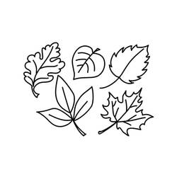 Dessin à colorier: Feuille (Nature et saisons) #191831 - Coloriages à Imprimer Gratuits