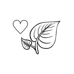 Dessin à colorier: Feuille (Nature et saisons) #191832 - Coloriages à Imprimer Gratuits