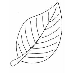 Dessin à colorier: Feuille (Nature et saisons) #191833 - Coloriages à Imprimer Gratuits