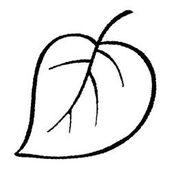 Dessin à colorier: Feuille (Nature et saisons) #191835 - Coloriages à Imprimer Gratuits