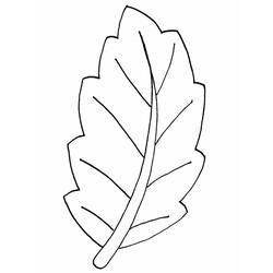 Dessin à colorier: Feuille (Nature et saisons) #191837 - Coloriages à Imprimer Gratuits