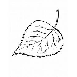 Dessin à colorier: Feuille (Nature et saisons) #191840 - Coloriages à Imprimer Gratuits