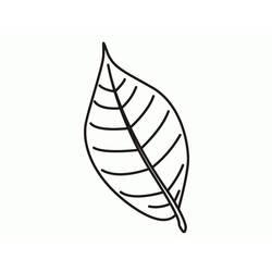 Dessin à colorier: Feuille (Nature et saisons) #191841 - Coloriages à Imprimer Gratuits