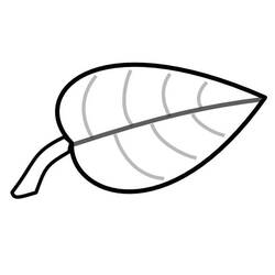 Dessin à colorier: Feuille (Nature et saisons) #191842 - Coloriages à Imprimer Gratuits